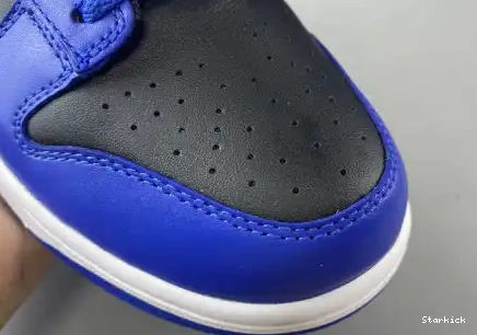 Low Blue and SB CU1726 Black Nike Dunk 006 0521